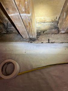 Asbestos Inspections and Solution Management