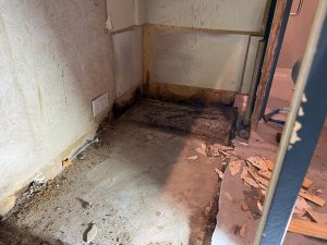 Asbestos Inspections and Solution Management