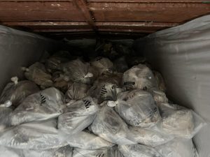 asbestos removal company in Dallas, Texas