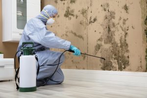 Mold abatement and removal services in Dallas, Texas