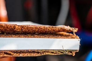 Mold remediation company