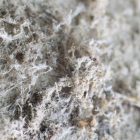 Asbestos Testing And Inspection in Dallas, TX