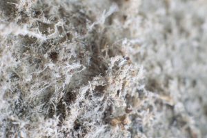 Asbestos Testing And Inspection in Dallas, TX