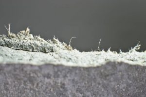 Asbestos Testing And Inspection in Dallas, TX